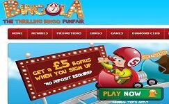 Free Online Bingo No Deposit Required No Registration