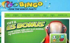 Rio Bingo Casino Bonus